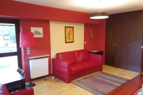 Przytulny apartament nr 115 Krynica Zdrój